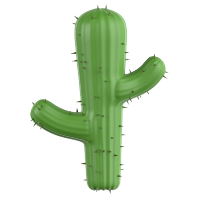 Cactus Tree 3D Icon 3D Graphic