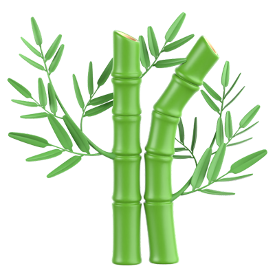 Bamboo Tree 3D Icon 3D Graphic