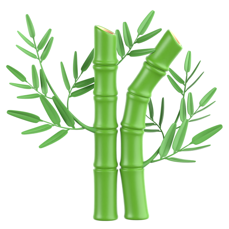 Bamboo Tree 3D Icon 3D Graphic