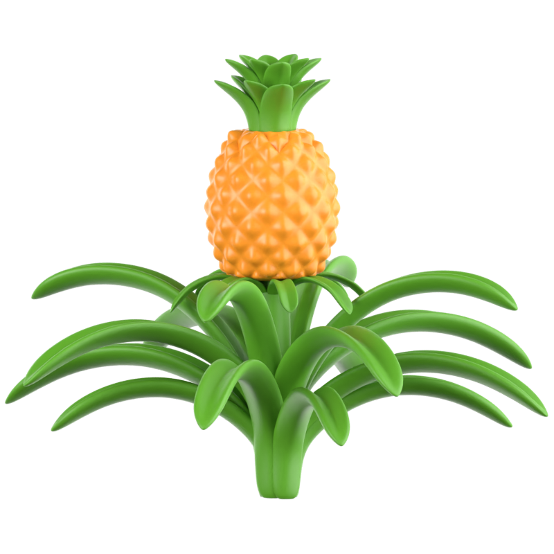 Pineapple Tree 3D Icon