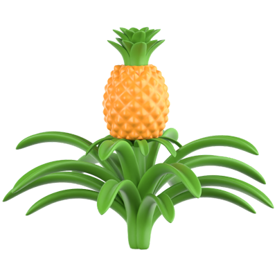 Pineapple Tree 3D Icon 3D Graphic