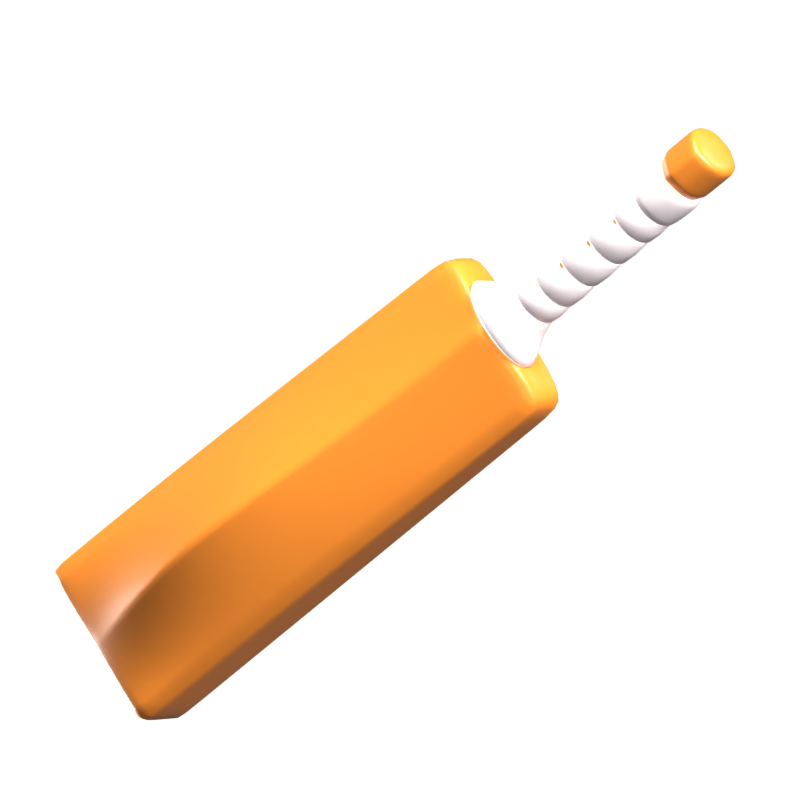 Cricket Bat 3D Icon 3D Graphic