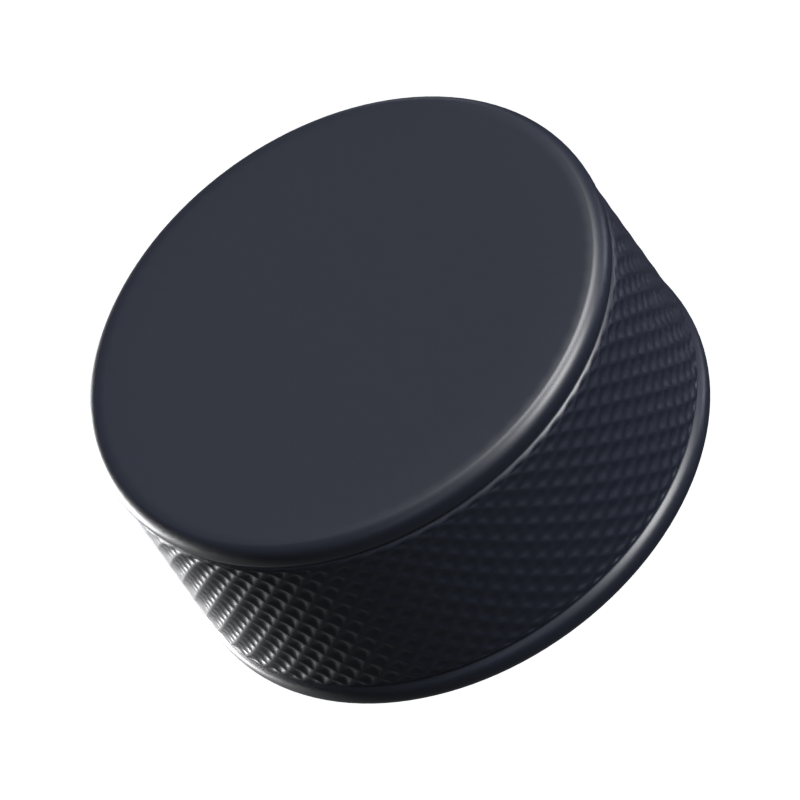 Hockey Puck 3D Icon