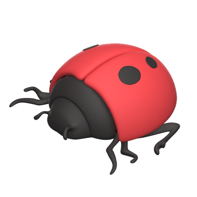 Lady Bug 3D Icon 3D Graphic