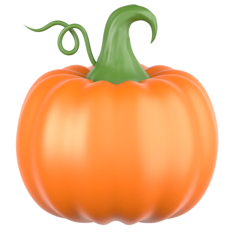 Pumpkin 3D Icon 3D Graphic