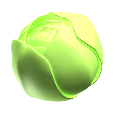 Cabbage 3D Icon 3D Graphic