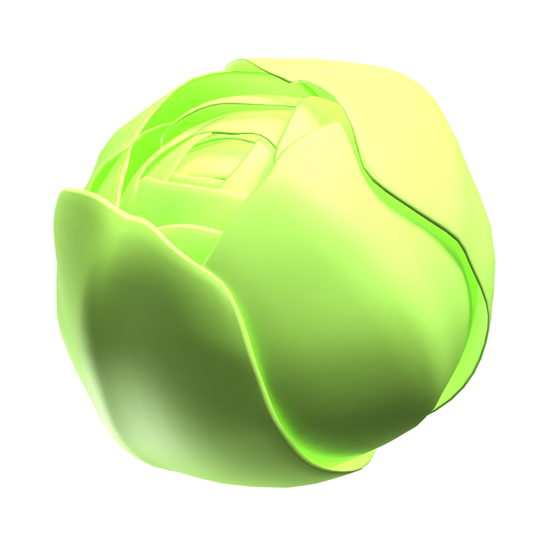 Cabbage 3D Icon 3D Graphic