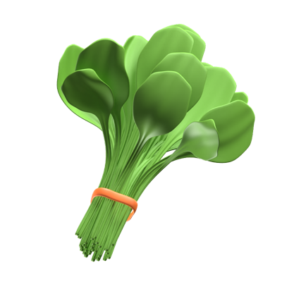 Spinach 3D Icon 3D Graphic