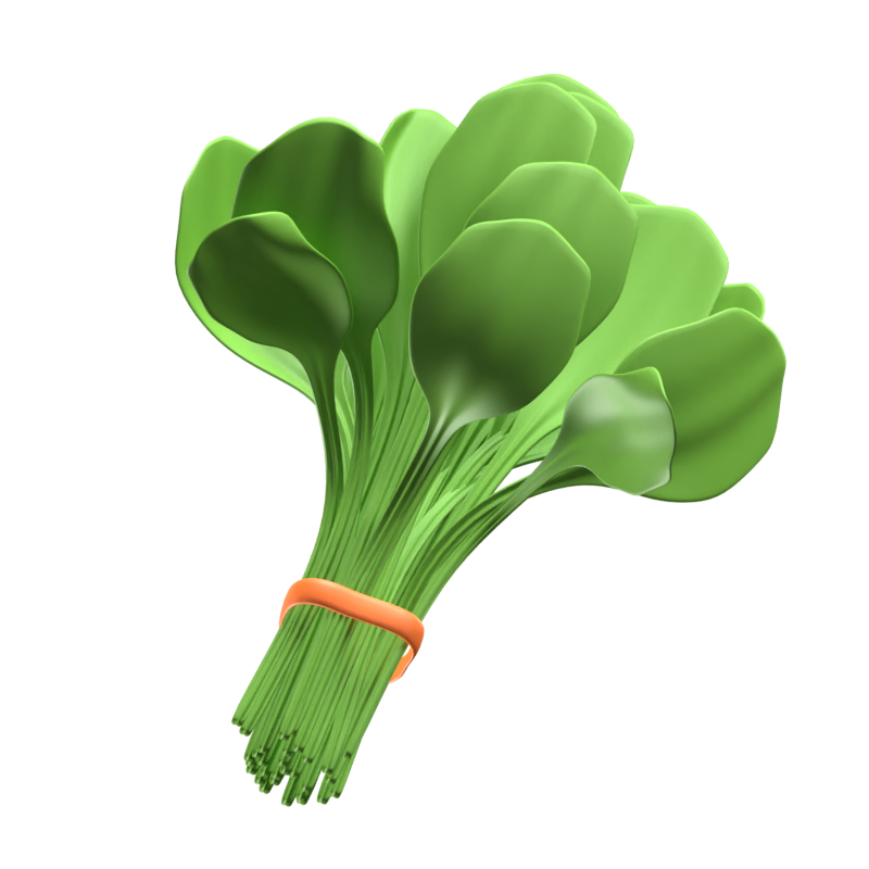 Spinach 3D Icon 3D Graphic