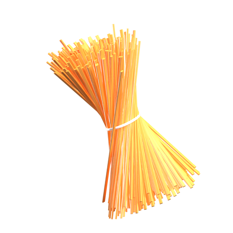 Pasta 3D Icon 3D Graphic