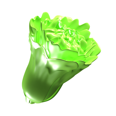 lechuga icono 3d 3D Graphic