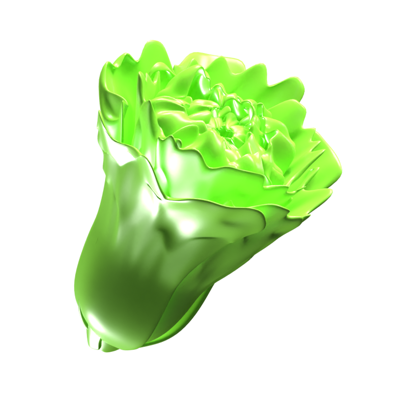 Lechuga Icono 3D 3D Graphic