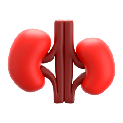 Kidney 3D Icon 3D Graphic