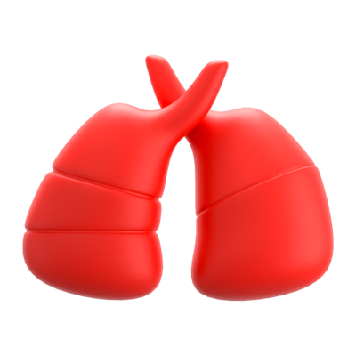 Lungs 3D Icon 3D Graphic