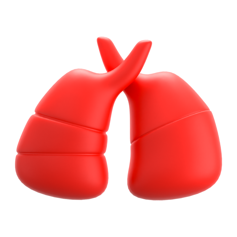 Lungs 3D Icon 3D Graphic