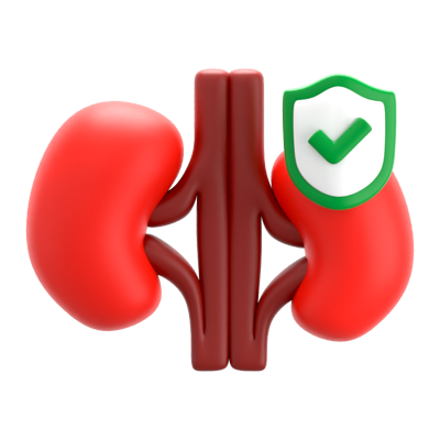 Kidney Insurance 3D Icon 3D Graphic