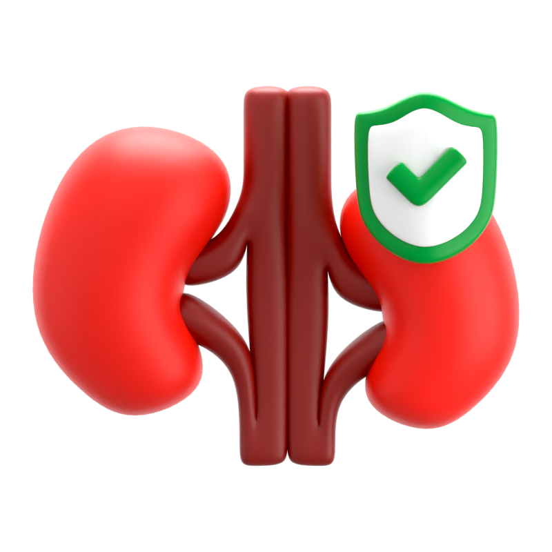 Kidney Insurance 3D Icon