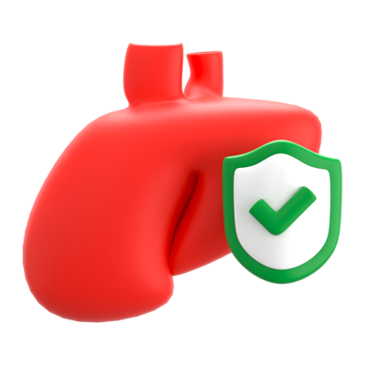 Liver Insurance 3D Icon 3D Graphic