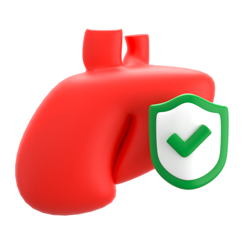 Liver Insurance 3D Icon 3D Graphic