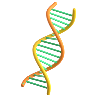 DNA 3D-Symbol 3D Graphic