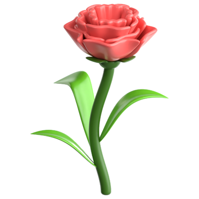 Carnation 3D Icon 3D Graphic