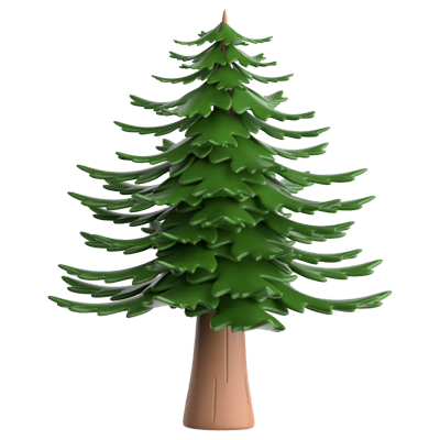 Pine 3D Icon 3D Graphic