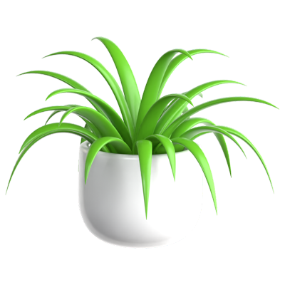 Spider Plant 3D Icon 3D Graphic