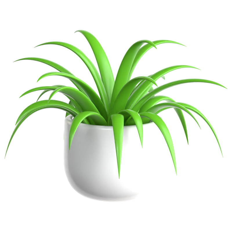 Spider Plant 3D Icon 3D Graphic