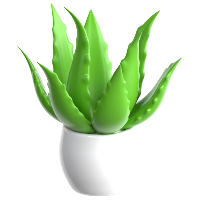 Aloe Vera 3D Icon 3D Graphic