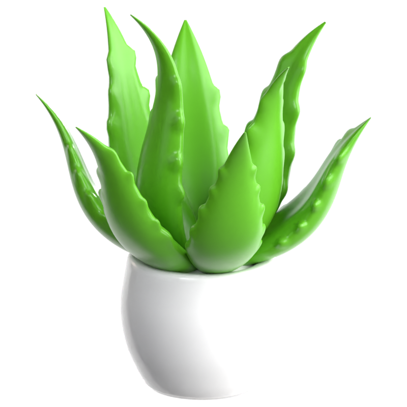 Ícone 3D de Aloe Vera 3D Graphic