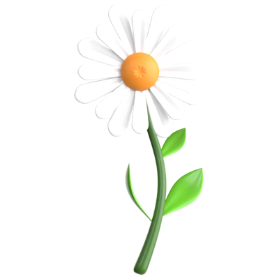 Daisy 3D Icon 3D Graphic