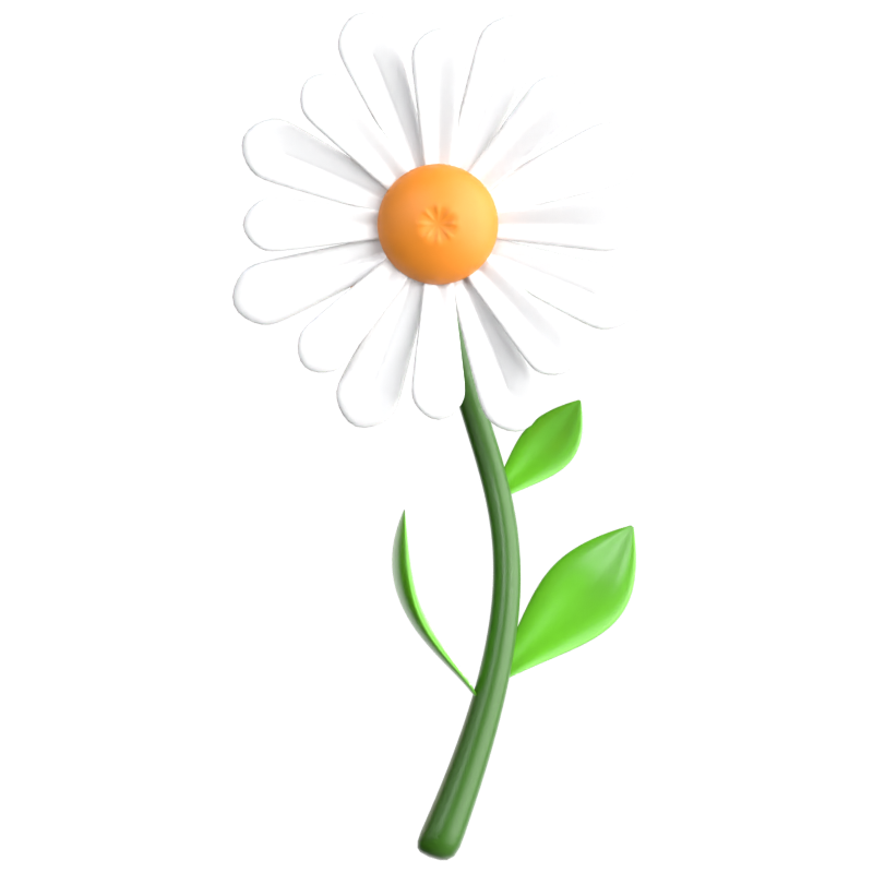 Gänseblümchen 3D-Symbol