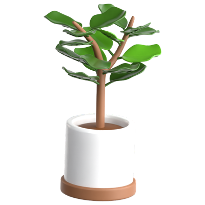 Fiddle Leaf Fig 3D Icon 3D Graphic