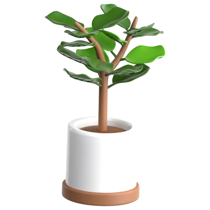 Ícone 3D Fiddle Leaf Fig 3D Graphic