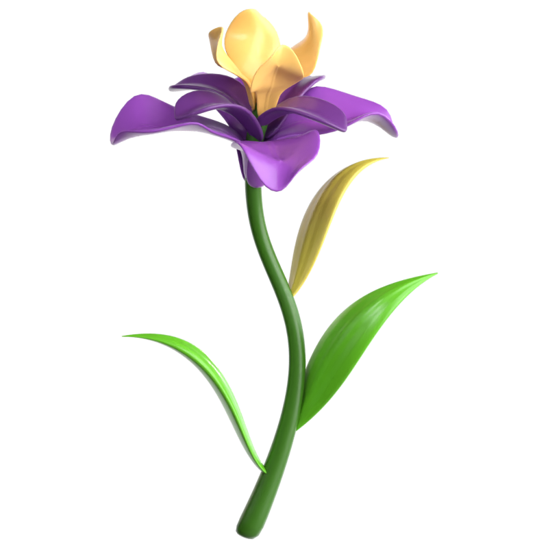 Iris 3D-Symbol