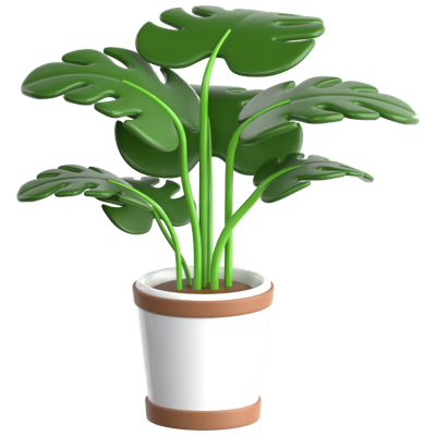 Monstera 3D Icon 3D Graphic