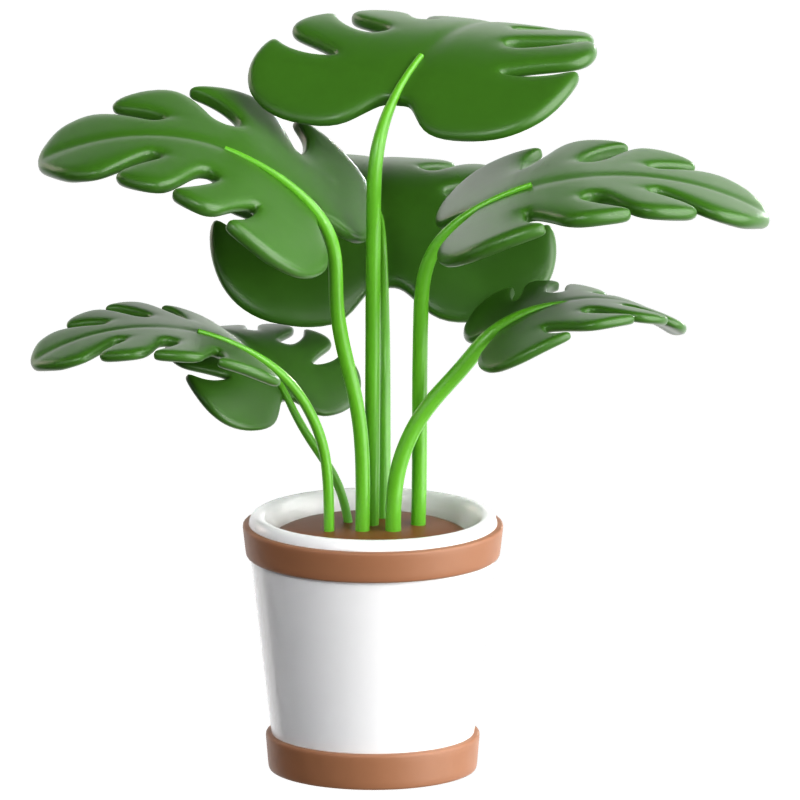 Monstera 3D 아이콘