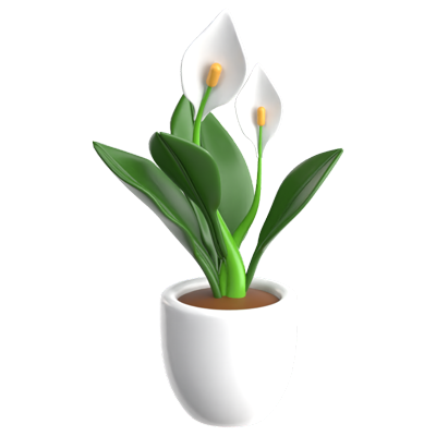 Peace Lily 3D Icon 3D Graphic