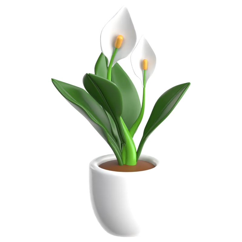 Peace Lily 3D Icon 3D Graphic