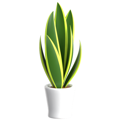 Snake Plant 3D Icon 3D Graphic