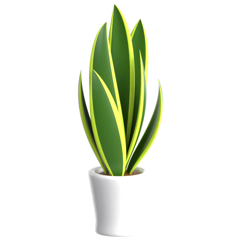 Snake Plant 3D Icon 3D Graphic