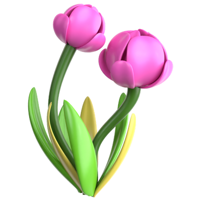 Tulip 3D Icon 3D Graphic