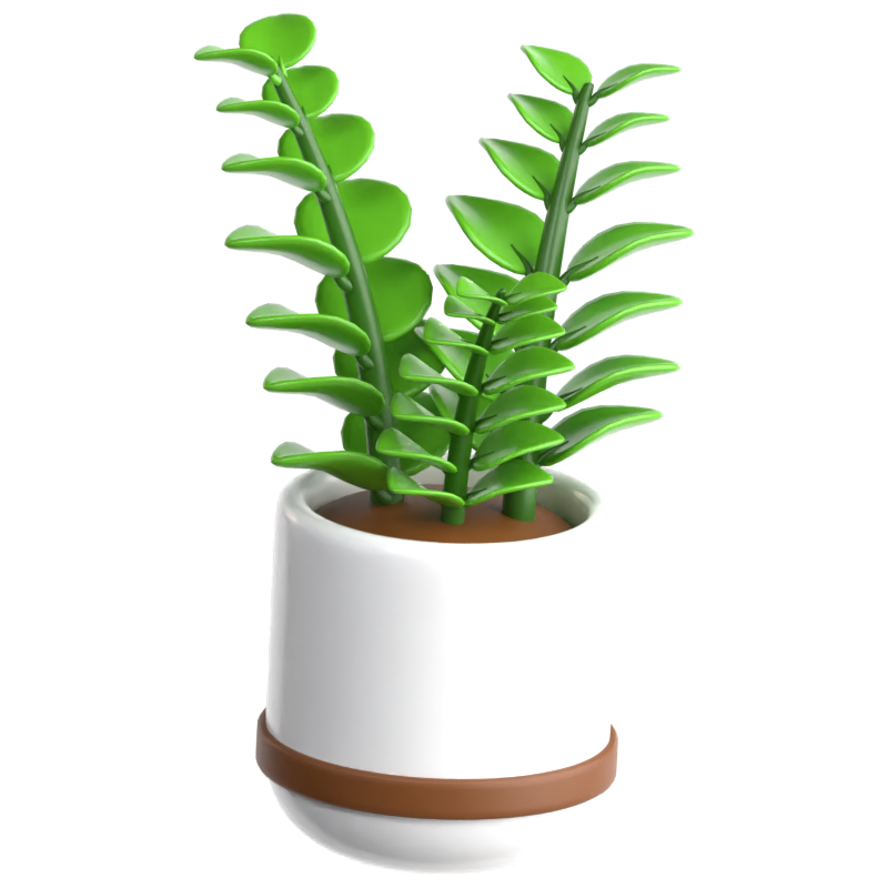 Planta ZZ Icono 3D 3D Graphic