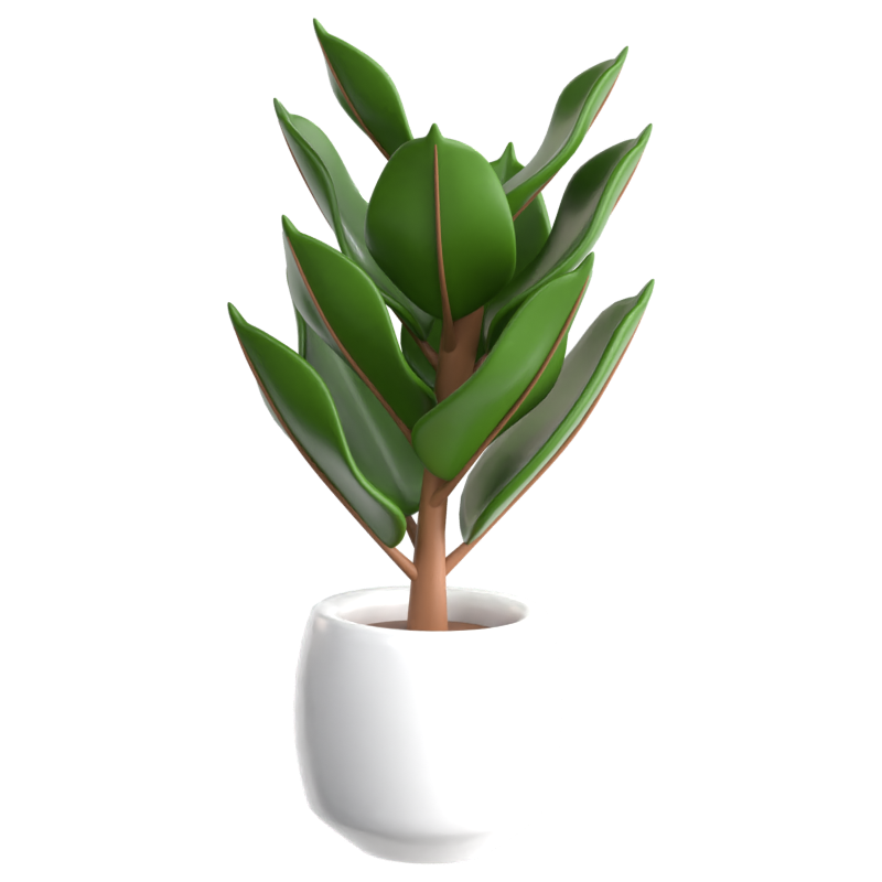 Planta de caucho Icono 3D