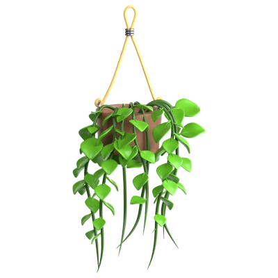 Pothos 3D Icon 3D Graphic