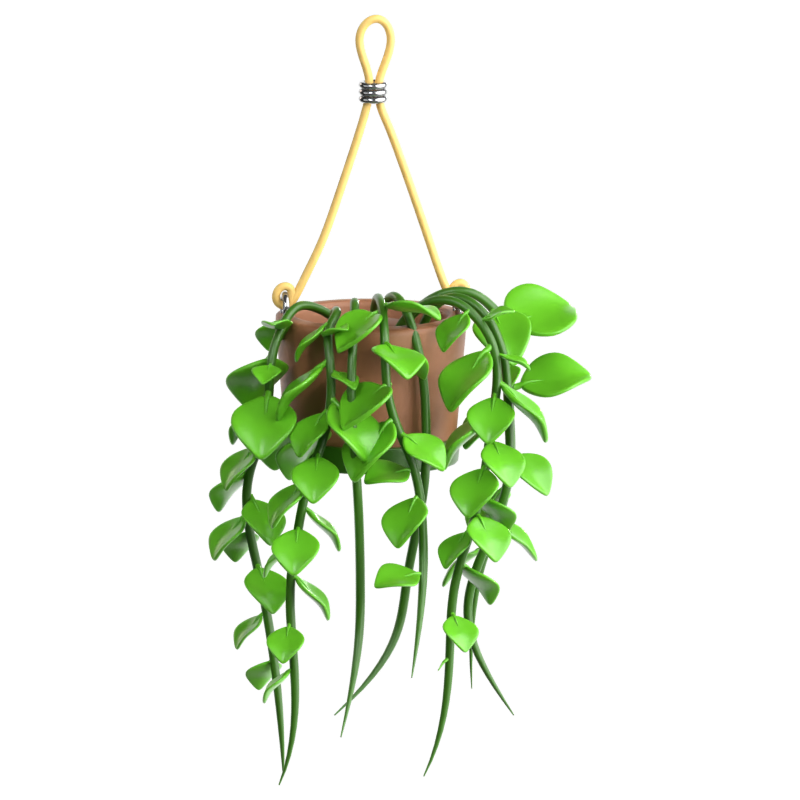 Pothos 3D Icon 3D Graphic