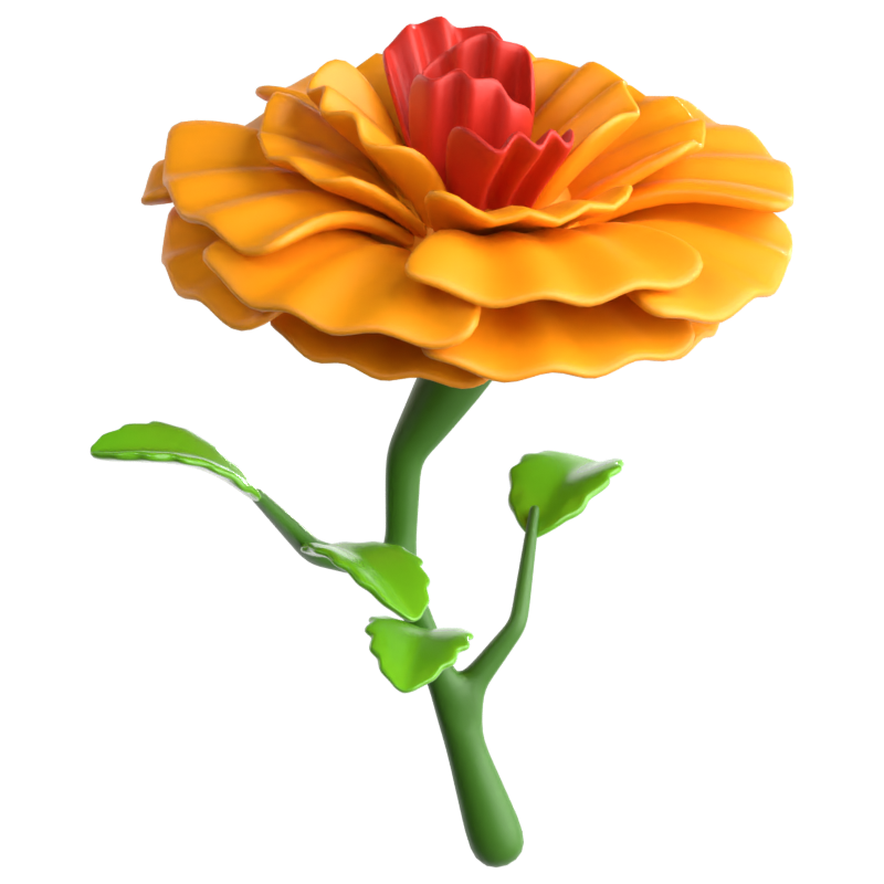 Marigold Flower 3D Icon 3D Graphic