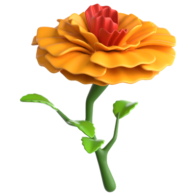 Marigold Flower 3D Icon 3D Graphic