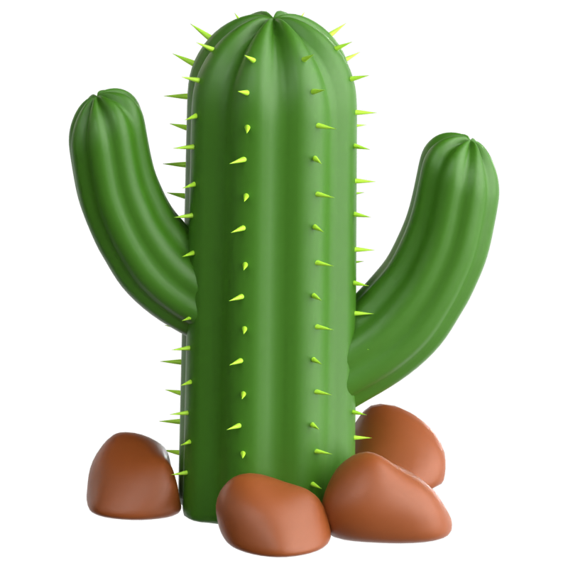 Cactus 3D Icon 3D Graphic