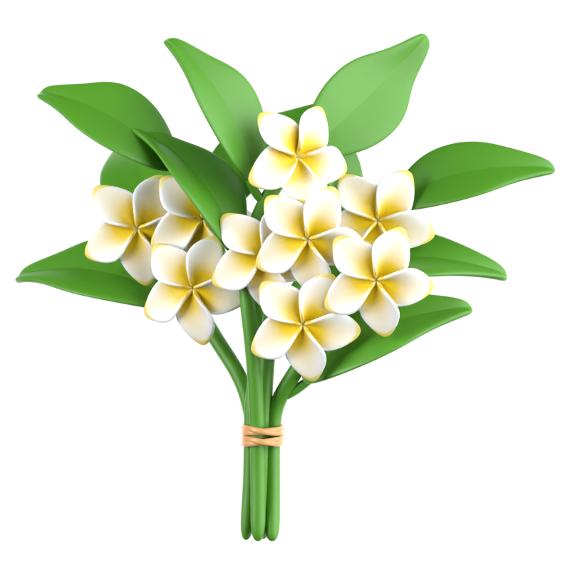 Frangipani Bouquet 3D Icon 3D Graphic